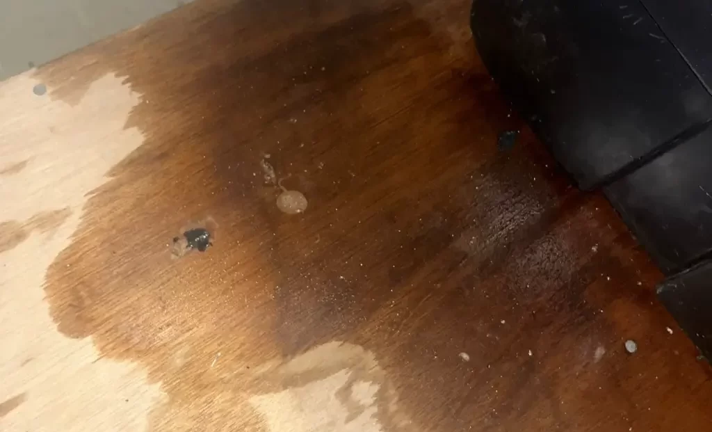 Water Leak in Weymouth