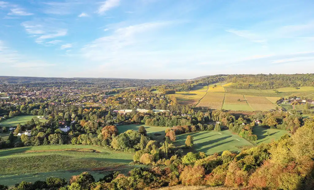 Surrey